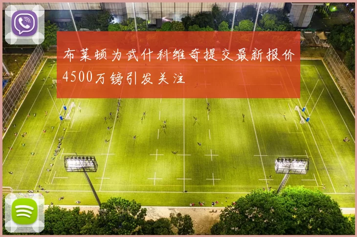 布莱顿为武什科维奇提交最新报价4500万镑引发关注